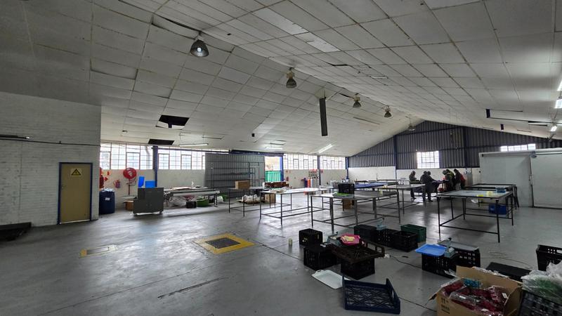 To Let commercial Property for Rent in Triangle Farm Western Cape